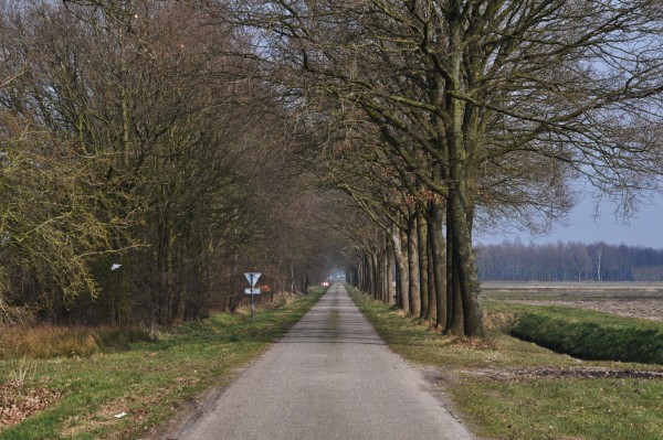 Afbeelding invoegen